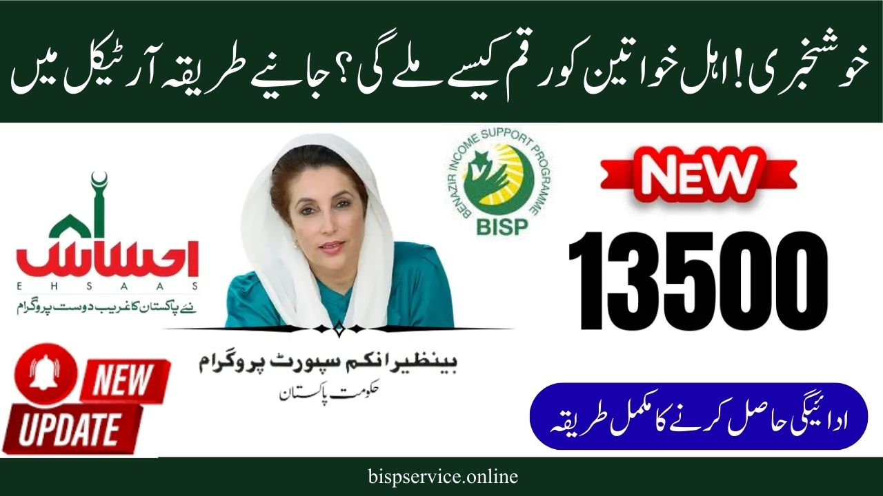 Ehsaas 8171 Web Portal Update 2025: Verify New Payment and Registration Options