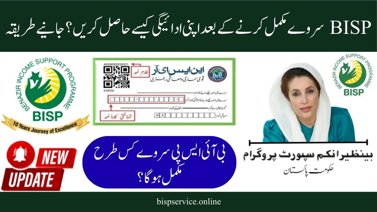 How to Receive Your Payment Following the 2025 BISP Survey: A Full Overview