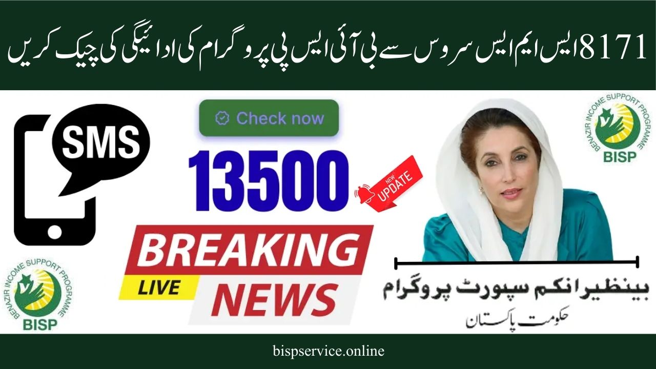 BISP 2025 Quick & Simple Payment Status Check via 8171 SMS Service