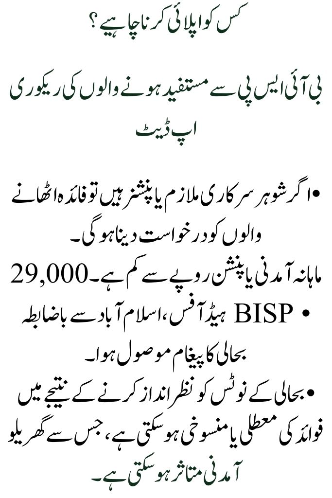 How to Apply for BISP Updates for Low-Salaried Government Workers and Pensioners