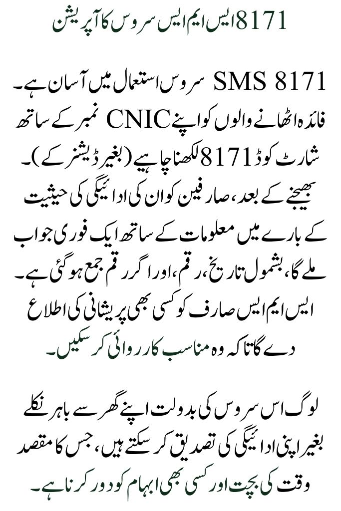 BISP 2025 Quick & Simple Payment Status Check via 8171 SMS Service