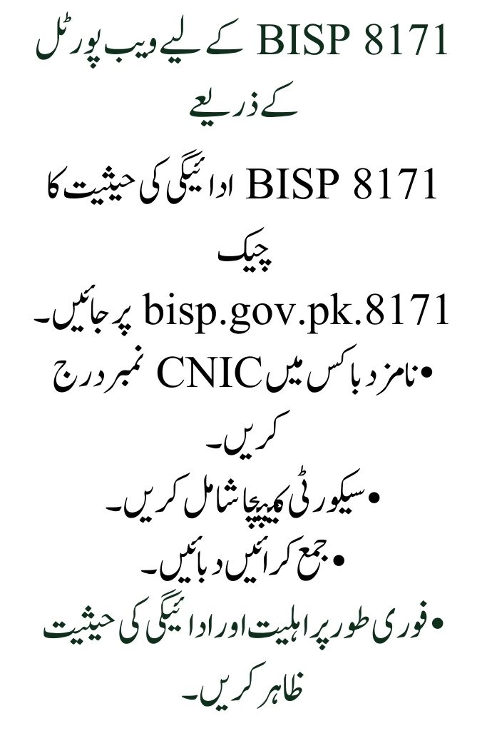 BISP 8171 Payment Status Check Online: Simple Steps