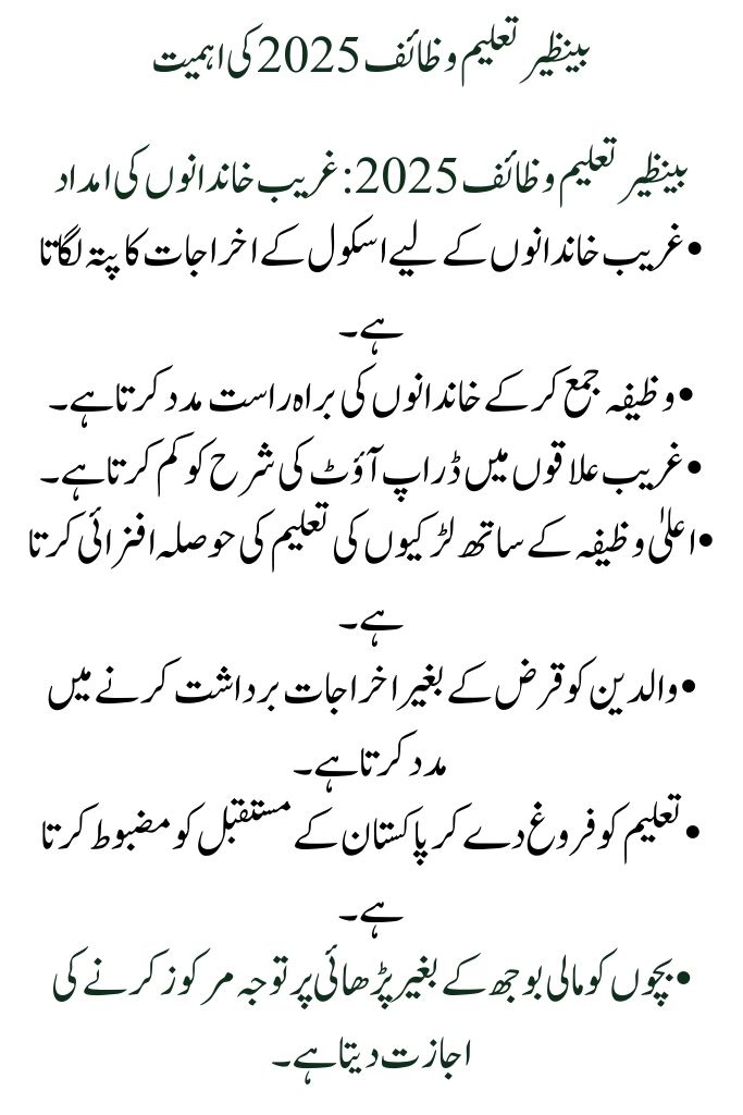 Benazir Taleemi Wazaif: Online Application for September 2025 Student Stipend