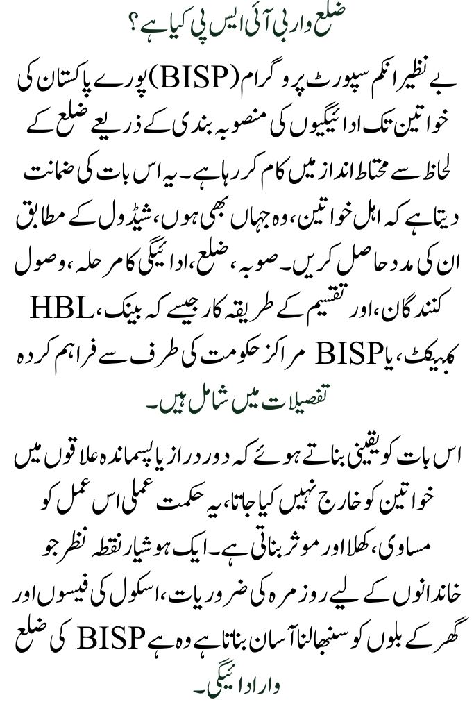 District-Wise BISP 8171 September 2025 Payments: View the Complete District-Wise Phase List