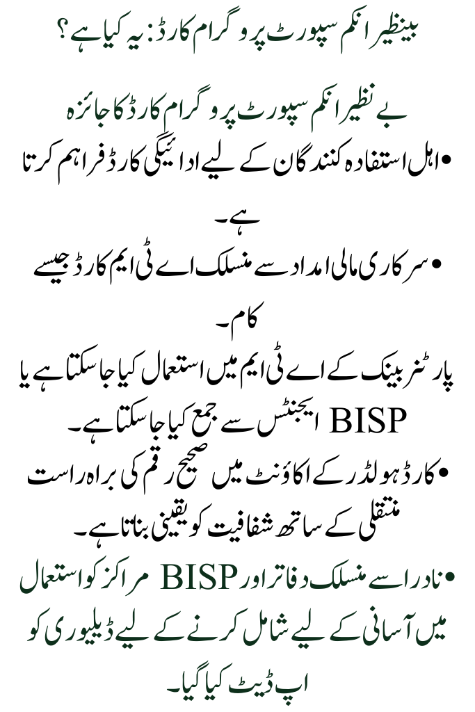 Update on the Delivery of Benazir Income Support Program Cards for 2025