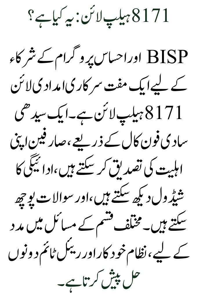 How to Use the 8171 Helpline in 2025 to Check Your BISP Status