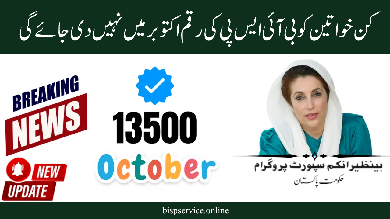 Reasons and Remedies for the October 2025 BISP Payment Delay Update