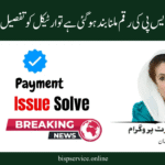 How to Complete Quick Fixes If Your BISP Payment Is Missing