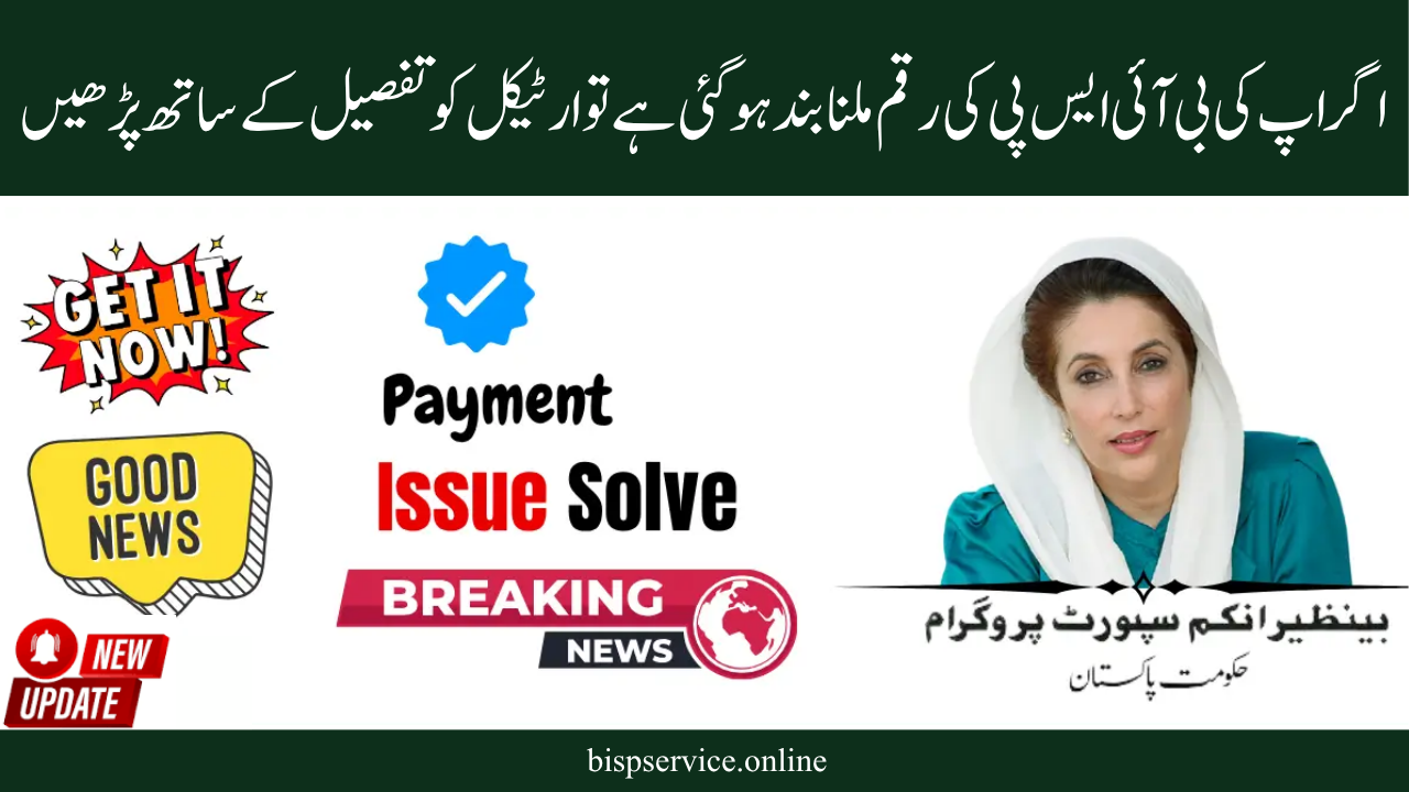 How to Complete Quick Fixes If Your BISP Payment Is Missing