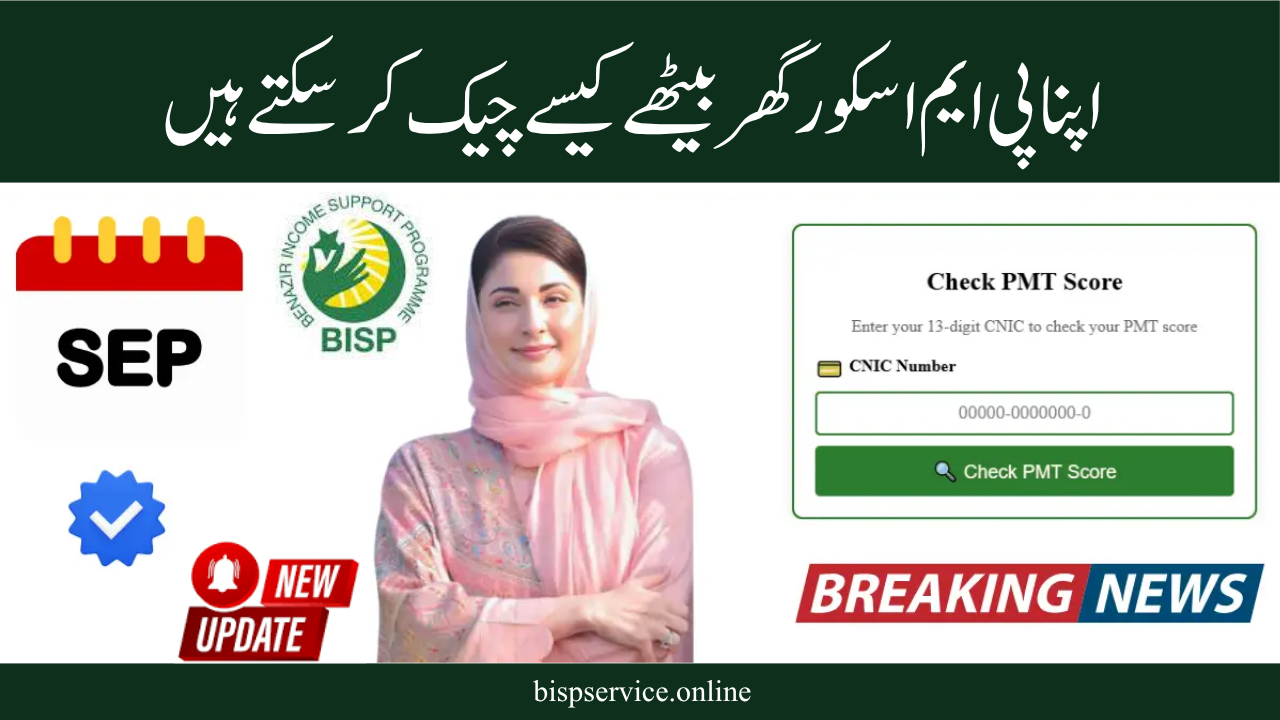 PMT Score Significance in BISP and Punjab Schemes: A Comprehensive Guide for 2025