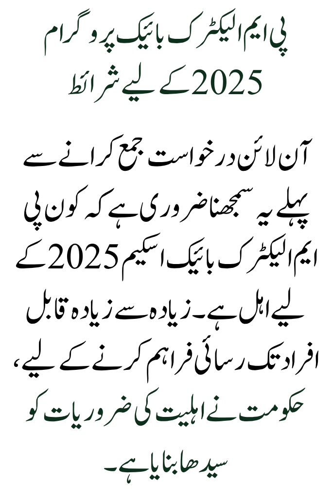 Simple Online Application Process for the PM Electric Bike Scheme 2025