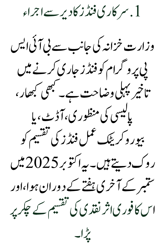 Reasons and Remedies for the October 2025 BISP Payment Delay Update