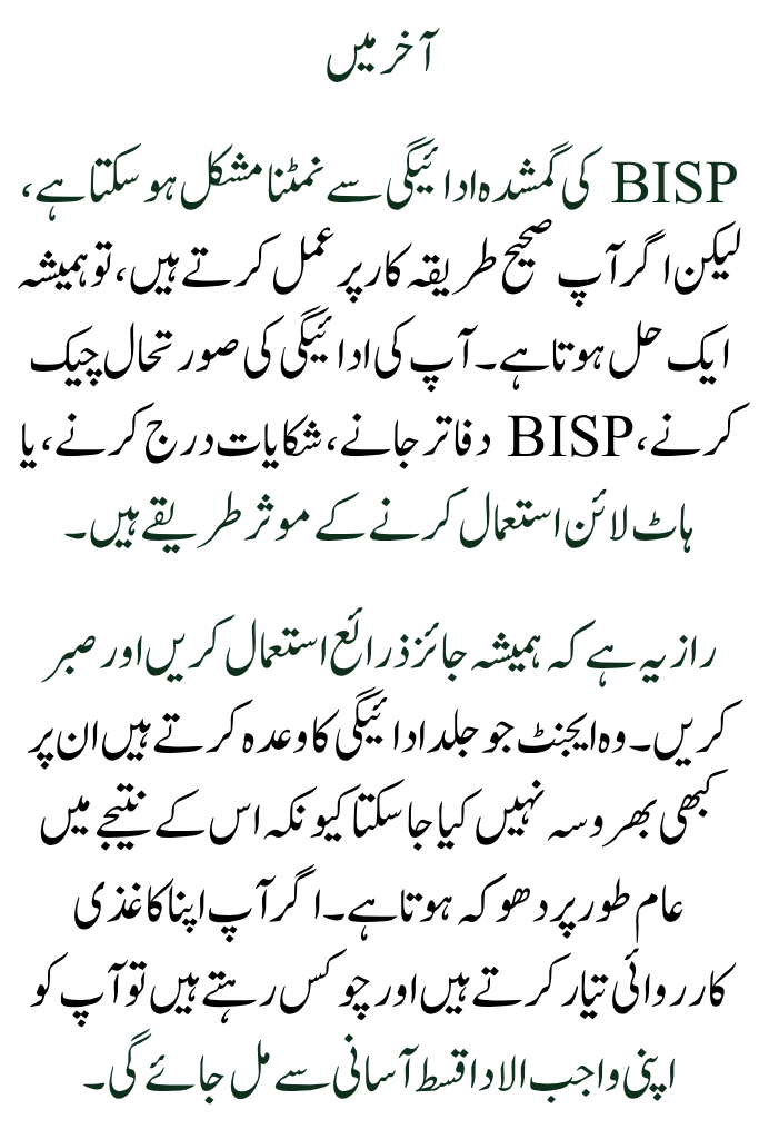 How to Complete Quick Fixes If Your BISP Payment Is Missing