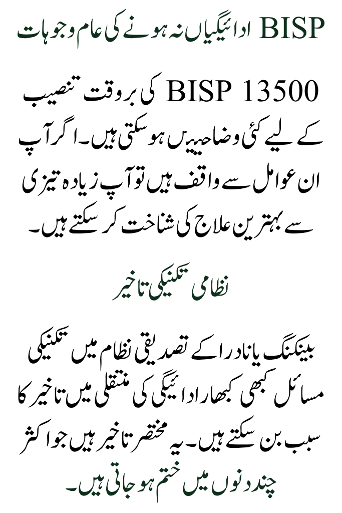 How to Complete Quick Fixes If Your BISP Payment Is Missing